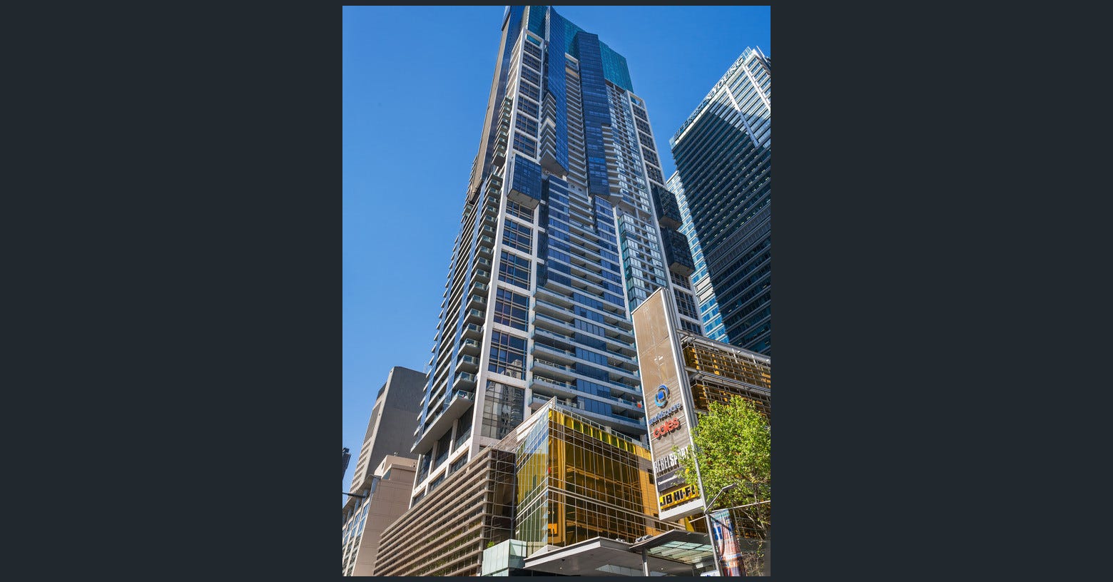 Sydney CBD High-Rise Apartment on Liverpool Street with an Affectionate Sphynx Cat
