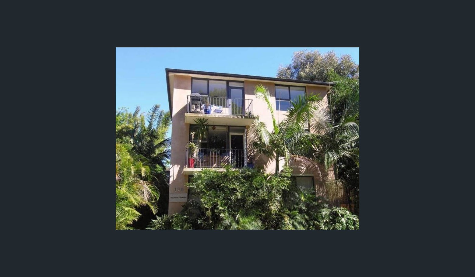 Leafy Annandale Apartment — Gentle Ragdoll Cat