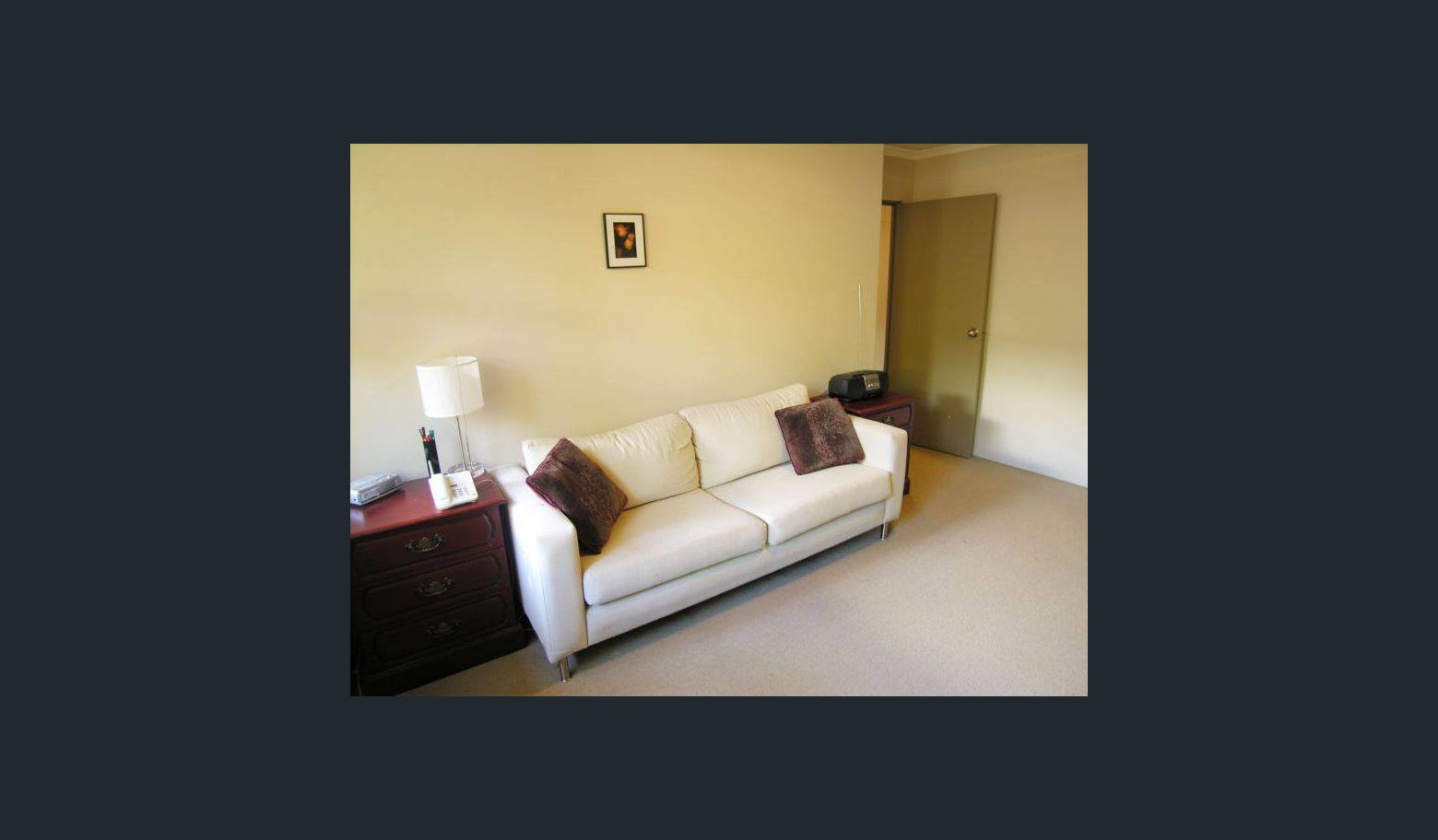 Leafy Annandale Apartment , Gentle Ragdoll Cat - Photo 2