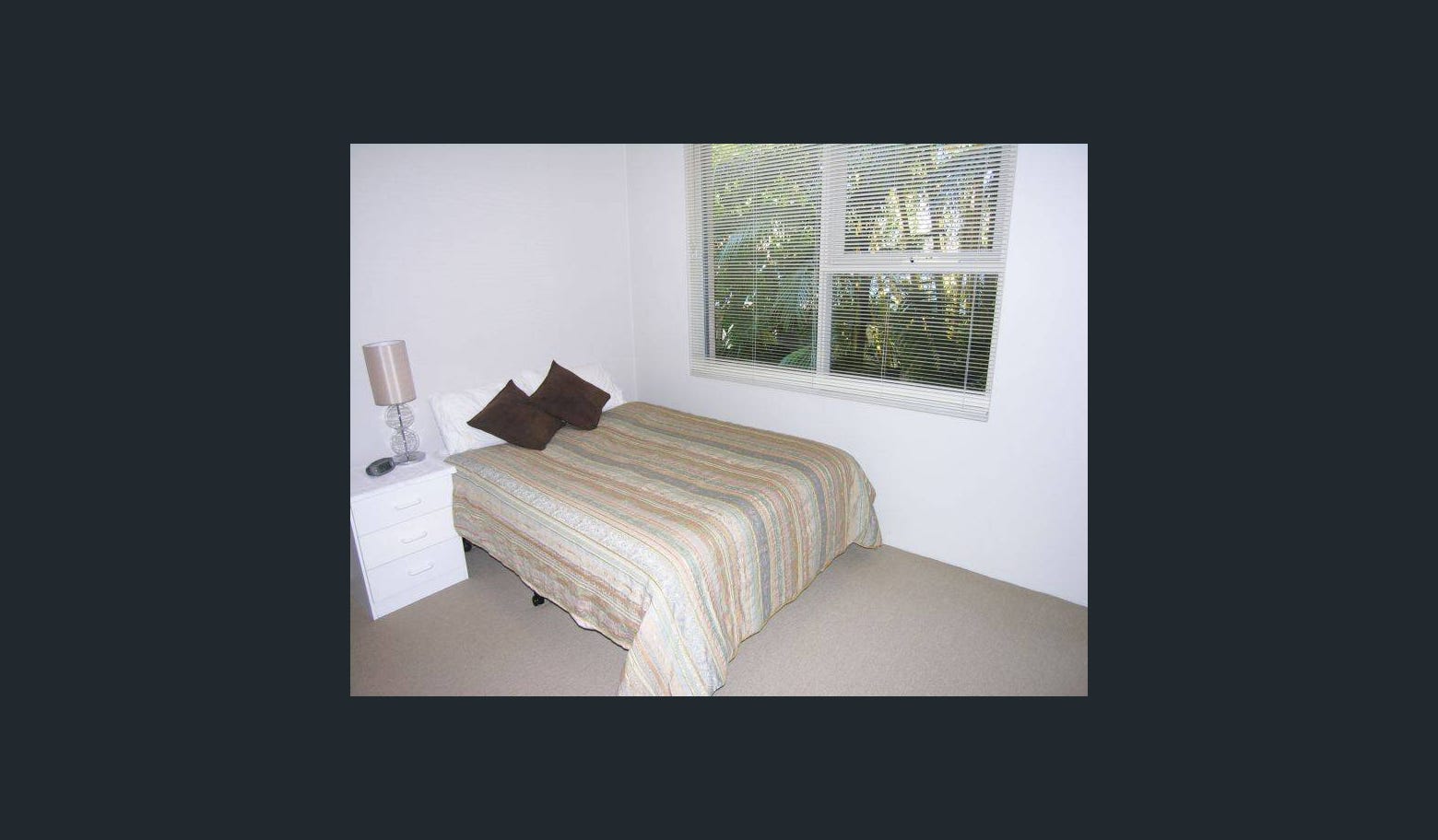 Leafy Annandale Apartment , Gentle Ragdoll Cat - Photo 4